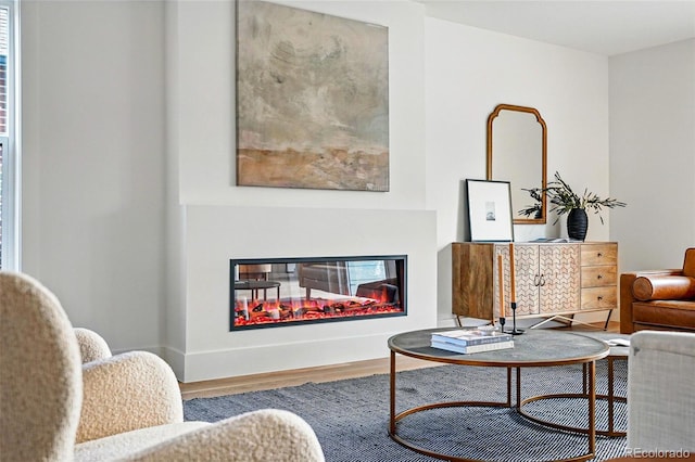 2391 Hudson St, Denver, CO 80207 - living room featuring wood finished floors and a glass covered fireplace