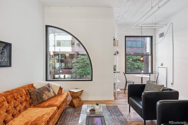 living room with wood-type flooring and a wealth of natural light