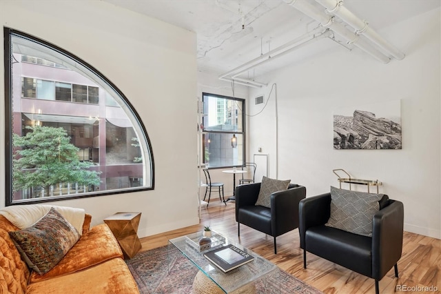 living room featuring hardwood / wood-style flooring