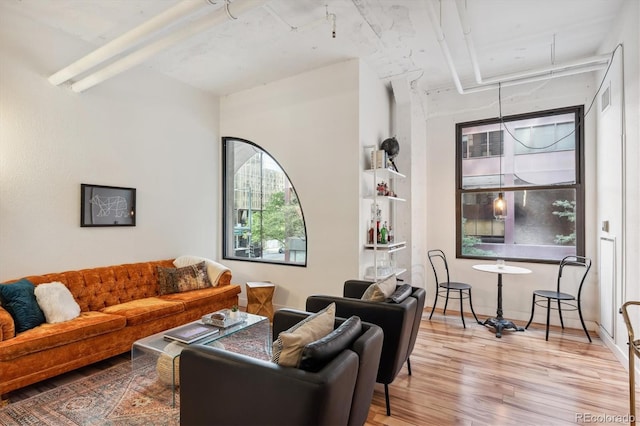 living room featuring hardwood / wood-style flooring