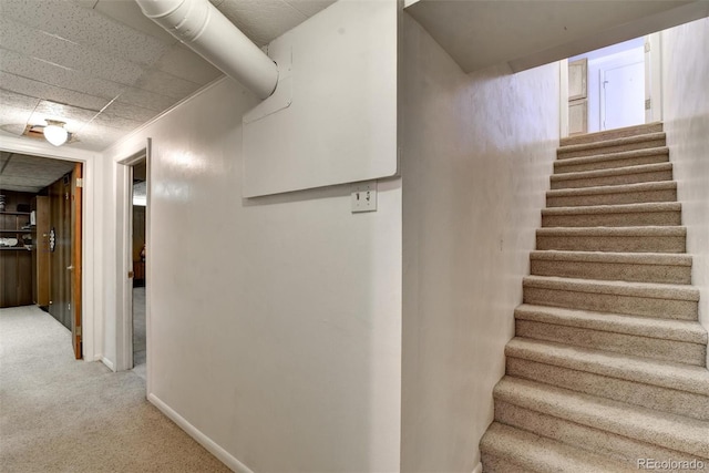 stairway featuring carpet floors