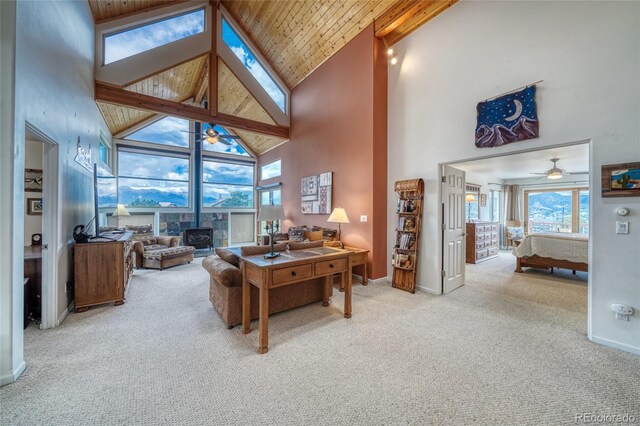 6020 Archery Ln, Salida, CO 81201 - photo 13