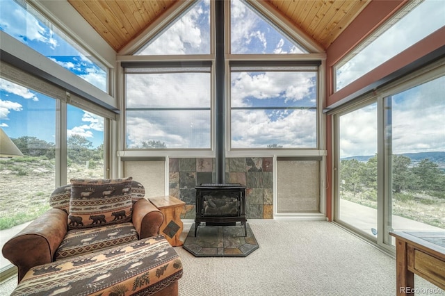 6020 Archery Ln, Salida, CO 81201 - photo 16