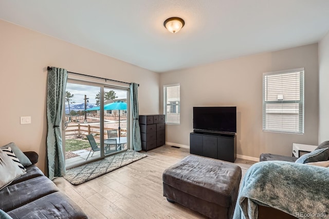 668 Sage Forest Ln, Monument, CO 80132 - living area featuring light wood-type flooring and baseboards
