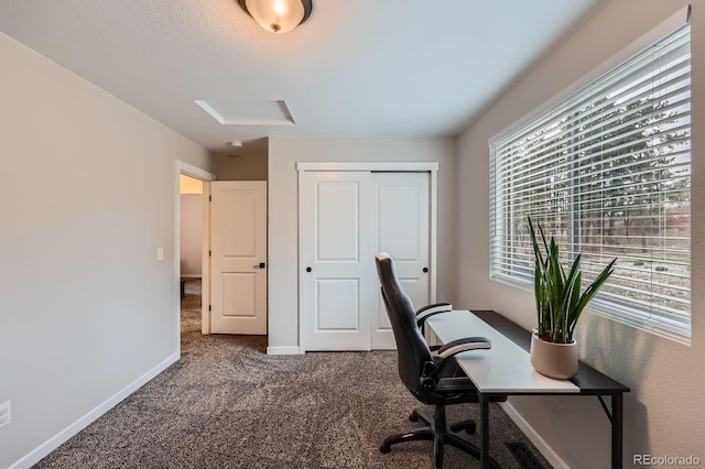 668 Sage Forest Ln, Monument, CO 80132 - home office with dark carpet and baseboards