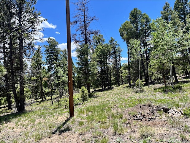 1002 Indian Creek Rd, Florissant, CO 80816 - photo 3