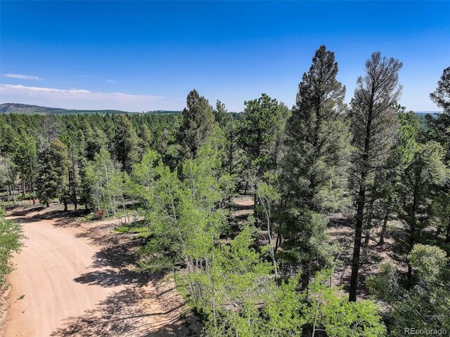 1002 Indian Creek Rd, Florissant, CO 80816 - photo 4