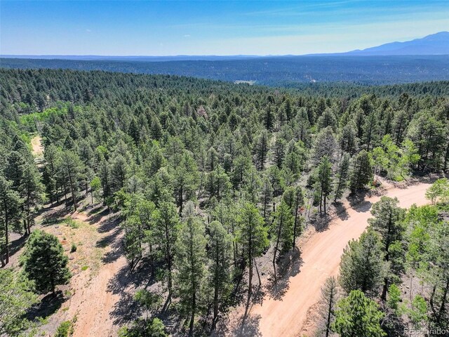 1002 Indian Creek Rd, Florissant, CO 80816 - photo 5
