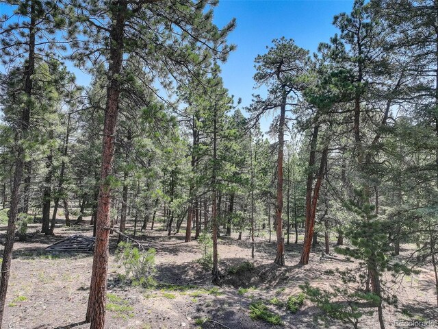 1002 Indian Creek Rd, Florissant, CO 80816 - photo 6