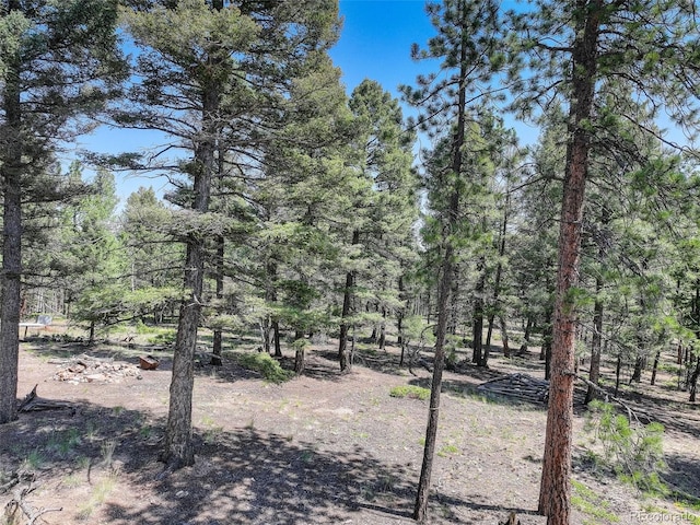 1002 Indian Creek Rd, Florissant, CO 80816 - photo 7