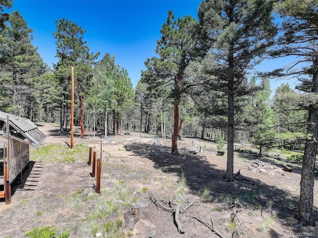 1002 Indian Creek Rd, Florissant, CO 80816 - photo 8