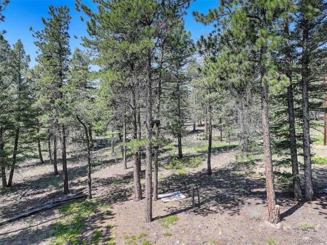1002 Indian Creek Rd, Florissant, CO 80816 - photo 10