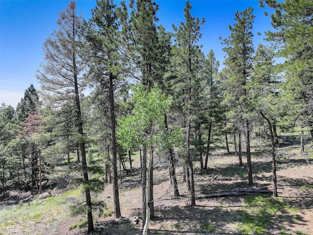 1002 Indian Creek Rd, Florissant, CO 80816 - photo 11