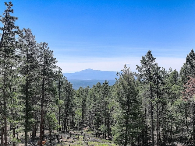 1002 Indian Creek Rd, Florissant, CO 80816 - photo 12