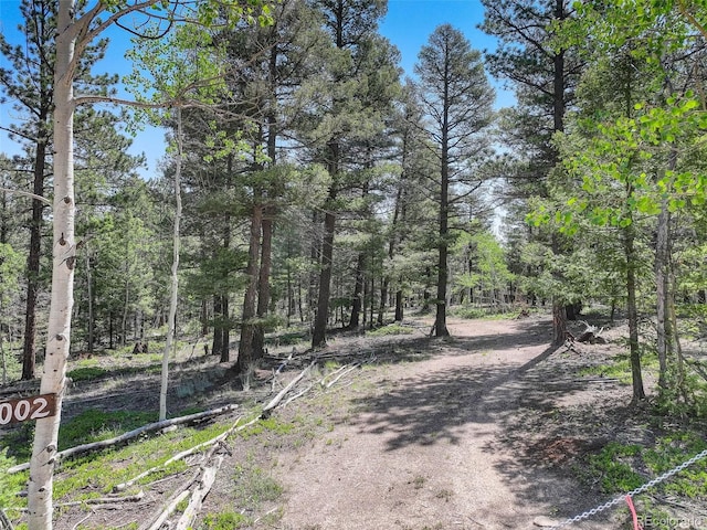 1002 Indian Creek Rd, Florissant, CO 80816 - photo 13