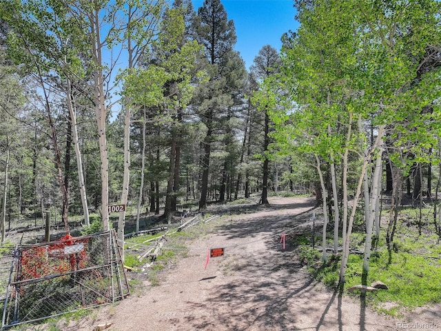 1002 Indian Creek Rd, Florissant, CO 80816 - photo 14
