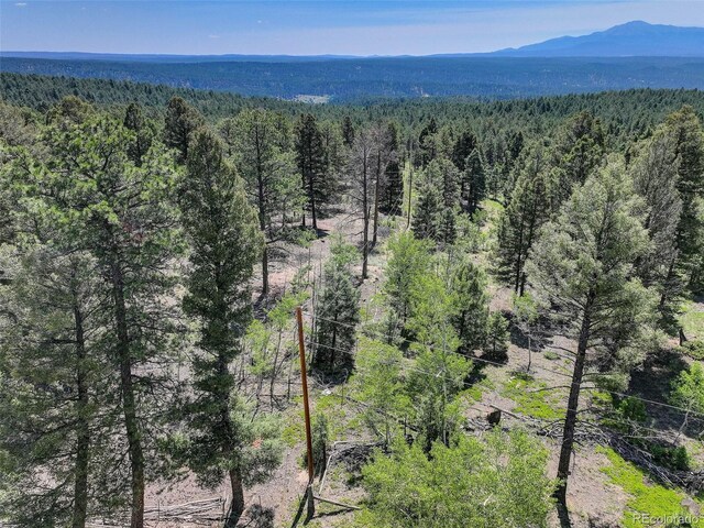 1002 Indian Creek Rd, Florissant, CO 80816 - photo 15