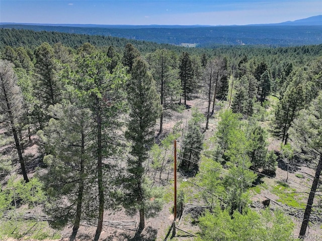 1002 Indian Creek Rd, Florissant, CO 80816 - photo 16