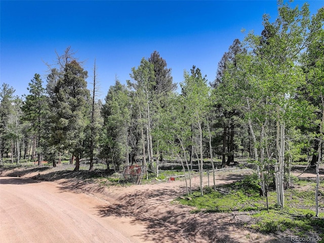 1002 Indian Creek Rd, Florissant, CO 80816 - photo 17