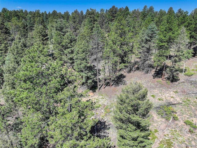 1002 Indian Creek Rd, Florissant, CO 80816 - photo 19