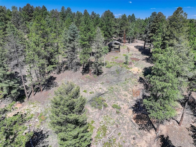 1002 Indian Creek Rd, Florissant, CO 80816 - photo 20