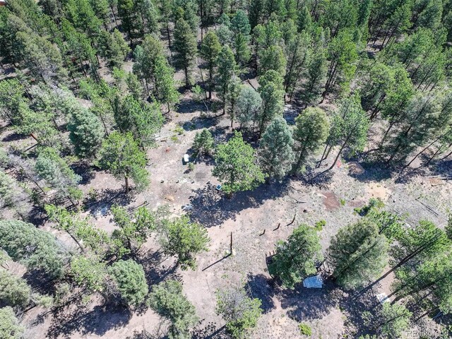 1002 Indian Creek Rd, Florissant, CO 80816 - photo 21