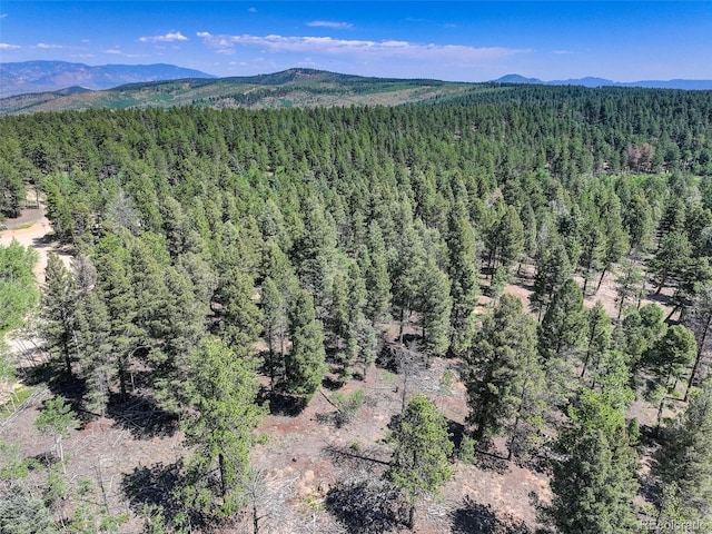 1002 Indian Creek Rd, Florissant, CO 80816 - photo 22