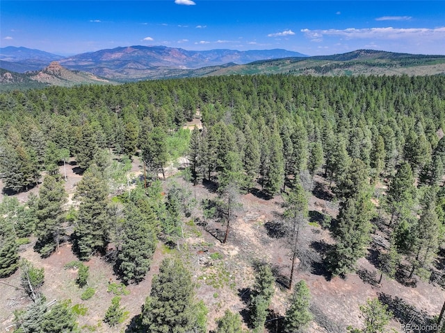 1002 Indian Creek Rd, Florissant, CO 80816 - photo 23