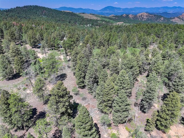 1002 Indian Creek Rd, Florissant, CO 80816 - photo 24