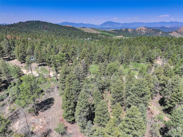 1002 Indian Creek Rd, Florissant, CO 80816 - photo 25