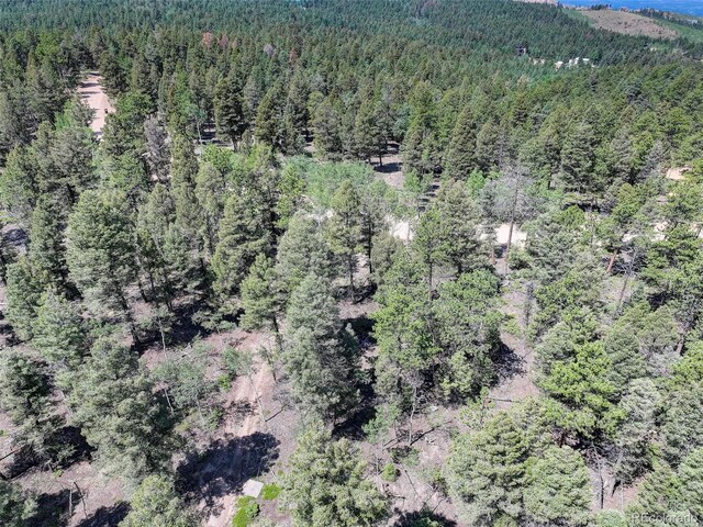 1002 Indian Creek Rd, Florissant, CO 80816 - photo 26