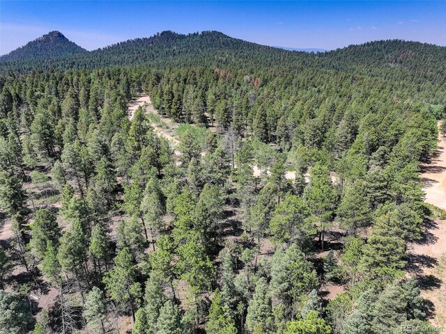 1002 Indian Creek Rd, Florissant, CO 80816 - photo 27