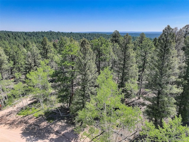 1002 Indian Creek Rd, Florissant, CO 80816 - photo 29