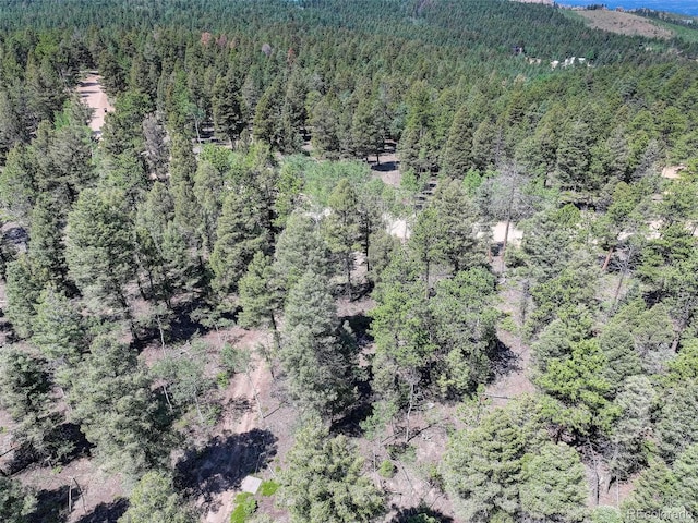 1002 Indian Creek Rd, Florissant, CO 80816 - photo 30