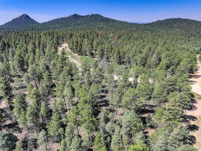 1002 Indian Creek Rd, Florissant, CO 80816 - photo 31