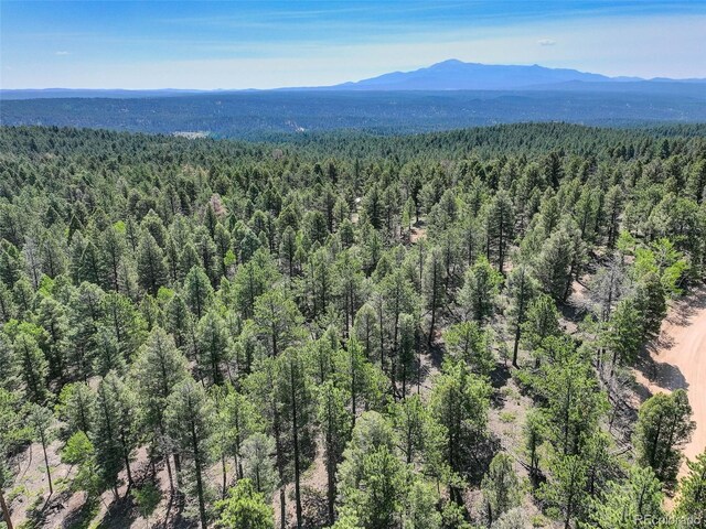 1002 Indian Creek Rd, Florissant, CO 80816 - photo 32
