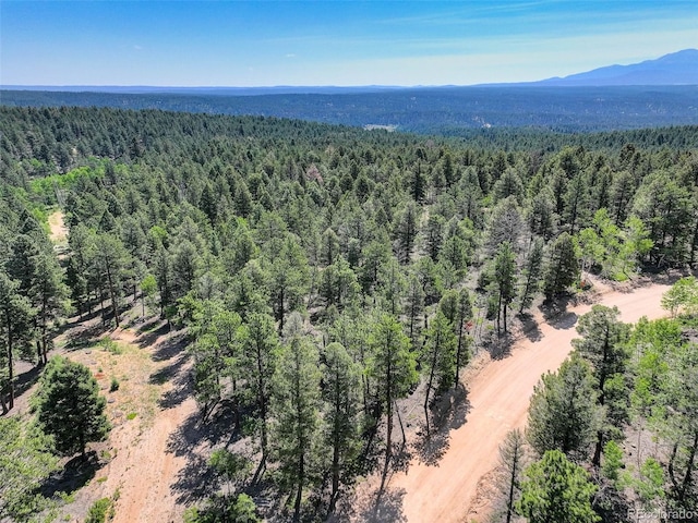 1002 Indian Creek Rd, Florissant, CO 80816 - photo 33