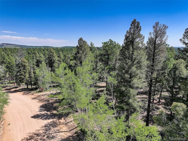 1002 Indian Creek Rd, Florissant, CO 80816 - photo 35