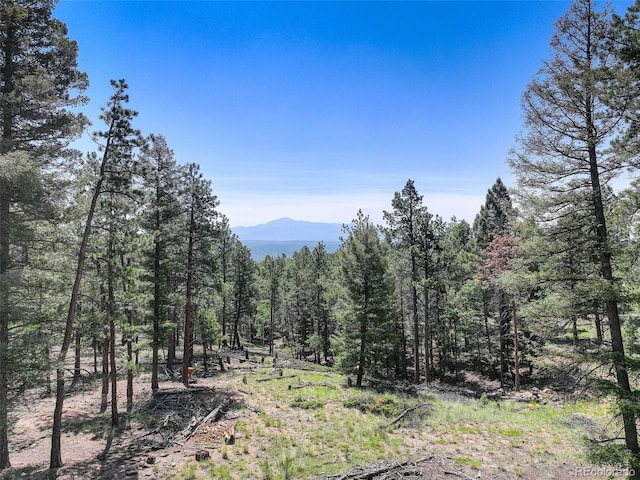 1002 Indian Creek Rd, Florissant, CO 80816 - photo 1