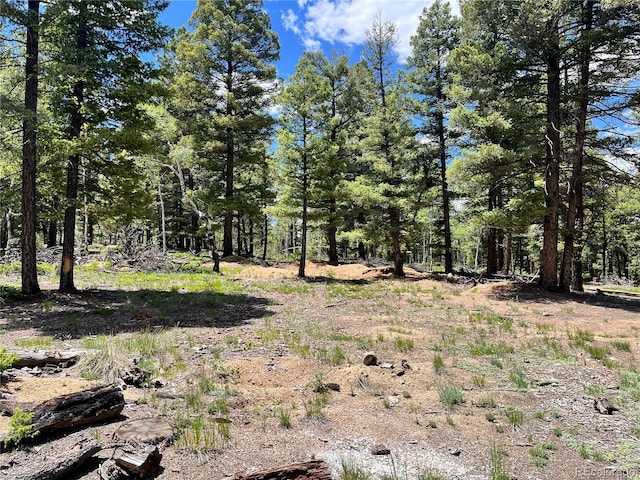 1002 Indian Creek Rd, Florissant, CO 80816 - photo 2