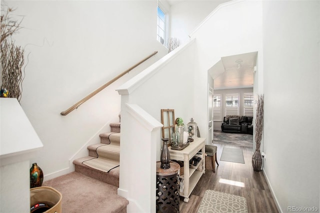 staircase featuring hardwood / wood-style flooring