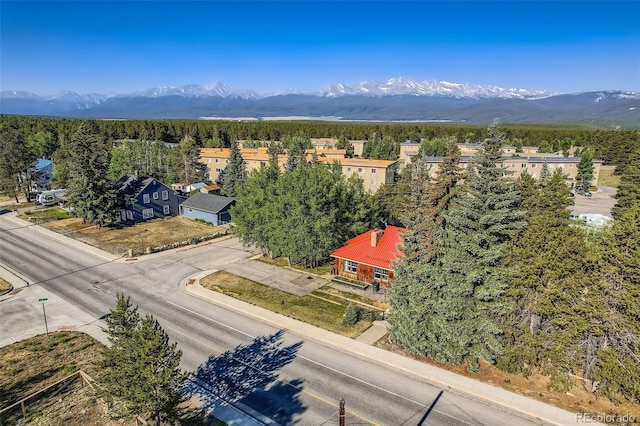 1704 Mt Massive Dr, Leadville, CO 80461 - photo 2