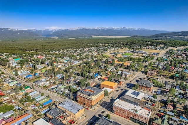 1704 Mt Massive Dr, Leadville, CO 80461 - photo 15