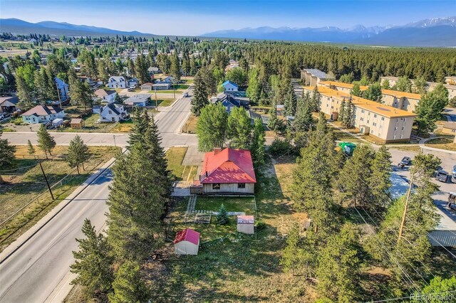 1704 Mt Massive Dr, Leadville, CO 80461 - photo 16