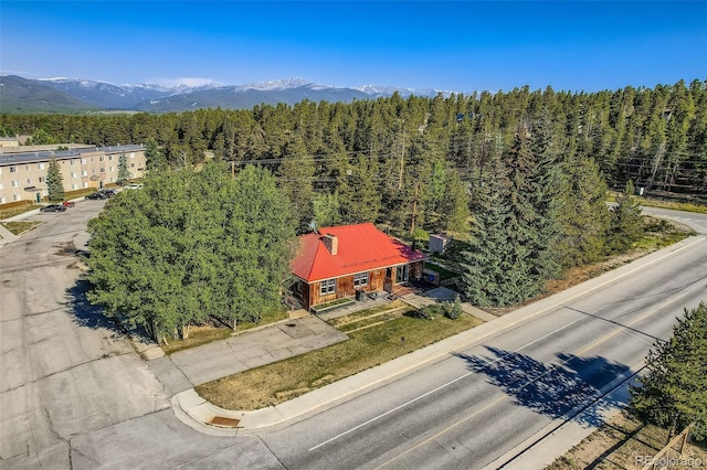 1704 Mt Massive Dr, Leadville, CO 80461 - photo 17