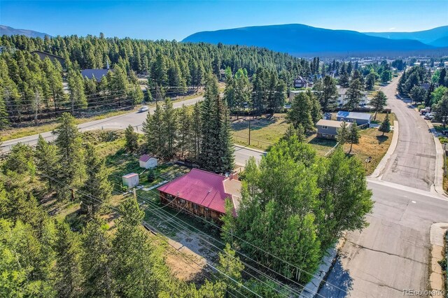 1704 Mt Massive Dr, Leadville, CO 80461 - photo 18