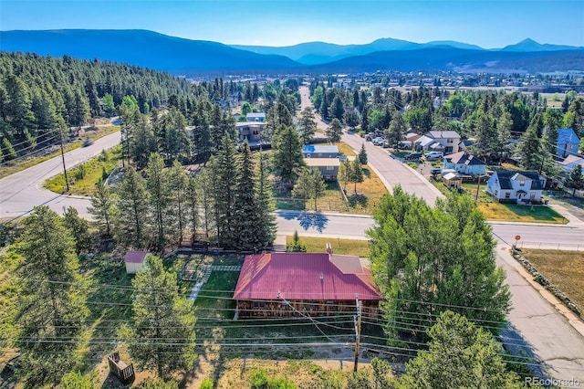 1704 Mt Massive Dr, Leadville, CO 80461 - photo 19
