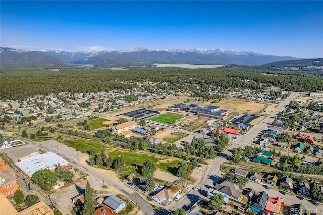 1704 Mt Massive Dr, Leadville, CO 80461 - photo 20