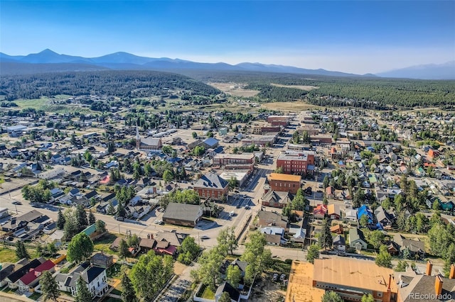 1704 Mt Massive Dr, Leadville, CO 80461 - photo 21