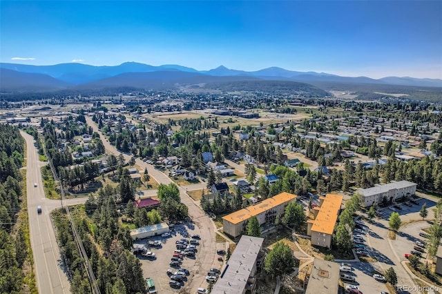 1704 Mt Massive Dr, Leadville, CO 80461 - photo 22